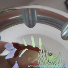 Load image into Gallery viewer, Vintage Allan Scott J Glass Jay Glass Lampwork Scottish Paperweight with Dragonfly

