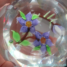 Load image into Gallery viewer, Vintage Allan Scott J Glass Jay Glass Lampwork Scottish Paperweight with Dragonfly
