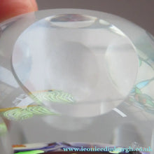 Load image into Gallery viewer, Vintage Allan Scott J Glass Jay Glass Lampwork Scottish Paperweight with Dragonfly
