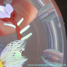 Load image into Gallery viewer, Vintage Allan Scott J Glass Jay Glass Lampwork Scottish Paperweight with Dragonfly
