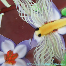 Load image into Gallery viewer, Vintage Allan Scott J Glass Jay Glass Lampwork Scottish Paperweight with Dragonfly
