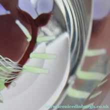 Load image into Gallery viewer, Vintage Allan Scott J Glass Jay Glass Lampwork Scottish Paperweight with Dragonfly
