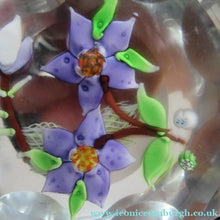 Load image into Gallery viewer, Vintage Allan Scott J Glass Jay Glass Lampwork Scottish Paperweight with Dragonfly
