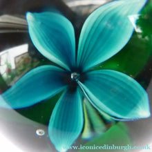 Load image into Gallery viewer, Vintage Strathearn Paperweight with Delicate Upright Pale Blue flower. Remnants of paper label &amp; S74 millefiori signature cane

