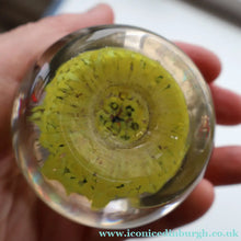 Load image into Gallery viewer, Gorgeous Pastel Colours. Scottish Strathearn Millefiori Canes and Latticino Nine Spoke Paperweight
