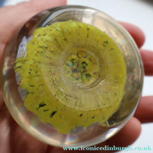 Load image into Gallery viewer, Gorgeous Pastel Colours. Scottish Strathearn Millefiori Canes and Latticino Nine Spoke Paperweight
