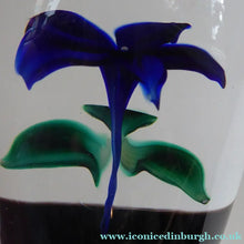 Load image into Gallery viewer, Vintage Strathearn Paperweight with Blue Flower. Paper label &amp; S75 millefiori signature cane
