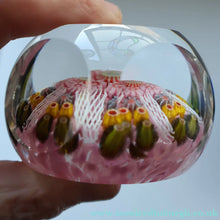 Load image into Gallery viewer, RARE 1970s Scottish STRATHEARN Paperweight with Facets and Millefiori Canes. Original Box
