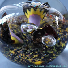 Load image into Gallery viewer, EARLY 1972 Caithness Paperweight TROPICANA (Purple). Designed by Peter Holmes. Limited edition 500
