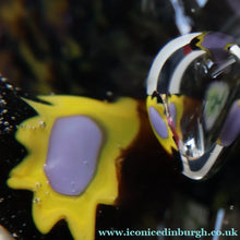 Load image into Gallery viewer, EARLY 1972 Caithness Paperweight TROPICANA (Purple). Designed by Peter Holmes. Limited edition 500
