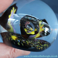 Load image into Gallery viewer, EARLY 1972 Caithness Paperweight TROPICANA (Purple). Designed by Peter Holmes. Limited edition 500
