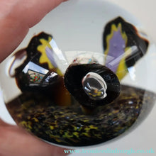 Load image into Gallery viewer, EARLY 1972 Caithness Paperweight TROPICANA (Purple). Designed by Peter Holmes. Limited edition 500
