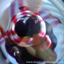 Load image into Gallery viewer, Fabulous LIMITED EDITION Scottish Caithness Glass Paperweight: Space Flower by Colin Terris; 1976
