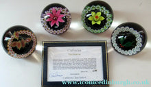 Load image into Gallery viewer, Colin Terris William Manson Set of Four Seasons Caithness Glass Vintage Paperweights 1979
