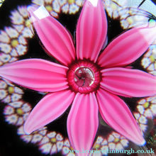Load image into Gallery viewer, Colin Terris William Manson Set of Four Seasons Caithness Glass Vintage Paperweights 1979
