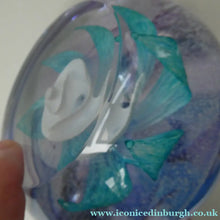 Load image into Gallery viewer, Vintage White Rose Bud Paperweight Caithness Glass. Attributed to Helen MacDonald
