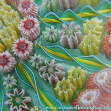 Load image into Gallery viewer, Vintage Scottish PERTHSHIRE Paperweight. Pale Sea Green Ground, 11 Spokes &amp; Millefiori Canes
