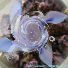 Load image into Gallery viewer, Early SELKIRK GLASS 1980s Scottish Paperweight.  MAGNUM Size with etched inscription and date on the base
