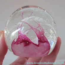Load image into Gallery viewer, 1980s Innes Burns Pink Cauldron Caithness Scottish Glass Paperweight
