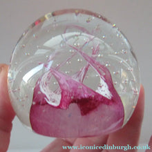 Load image into Gallery viewer, 1980s Innes Burns Pink Cauldron Caithness Scottish Glass Paperweight
