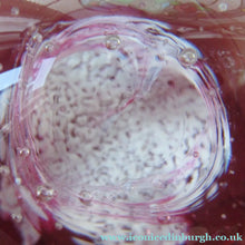 Load image into Gallery viewer, 1980s Innes Burns Pink Cauldron Caithness Scottish Glass Paperweight
