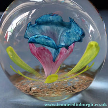 Load image into Gallery viewer, Scottish Caithness Glass Paperweight: CAPRICE by Colin Terris 1983 LIMITED EDITION

