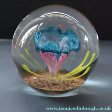 Load image into Gallery viewer, Scottish Caithness Glass Paperweight: CAPRICE by Colin Terris 1983 LIMITED EDITION
