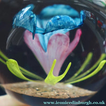 Load image into Gallery viewer, Scottish Caithness Glass Paperweight: CAPRICE by Colin Terris 1983 LIMITED EDITION
