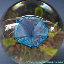 Load image into Gallery viewer, Scottish Caithness Glass Paperweight: CAPRICE by Colin Terris 1983 LIMITED EDITION
