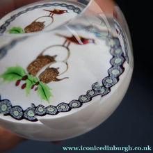 Load image into Gallery viewer, Scottish Caithness Glass Paperweight: ROBIN AND KETTLE by Colin Terris 1983

