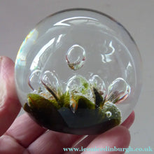 Load image into Gallery viewer, Collectable Vintage 1983 COLIN TERRIS Caithness Glass Paperweight: Sea Dance
