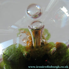 Load image into Gallery viewer, Caithness Paperweight Colin Terris Seadance 1993
