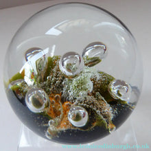 Load image into Gallery viewer, Colin Terris Caithness Paperweight 1983 Sea Dance Seadance
