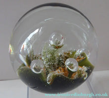 Load image into Gallery viewer, Collectable Vintage 1983 COLIN TERRIS Caithness Glass Paperweight: Sea Dance
