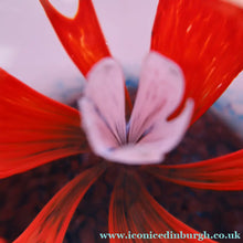 Load image into Gallery viewer, Scottish Caithness Glass Paperweight: SOLITAIRE by Colin Terris 1984
