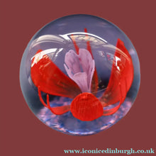 Load image into Gallery viewer, Scottish Caithness Glass Paperweight: SOLITAIRE by Colin Terris 1984
