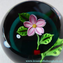 Load image into Gallery viewer, William Manson Cherry Blossom 1980s Vintage Paperweight
