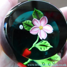 Load image into Gallery viewer, William Manson Cherry Blossom 1980s Vintage Paperweight
