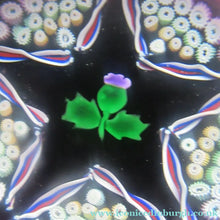 Load image into Gallery viewer, Caithness Glass for Edinburgh Crystal Limited Edition Thistle Paperweight
