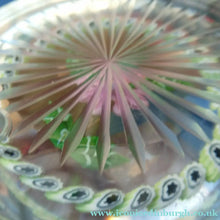 Load image into Gallery viewer,  1986 LIMITED EDITION Caithness Glass Paperweight: Signed "Camelia" by William Manson
