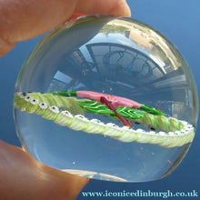 Load image into Gallery viewer,  1986 LIMITED EDITION Caithness Glass Paperweight: Signed "Camelia" by William Manson
