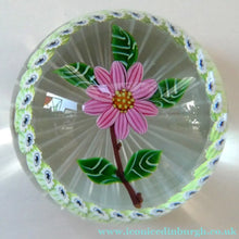 Load image into Gallery viewer,  1986 LIMITED EDITION Caithness Glass Paperweight: Signed "Camelia" by William Manson
