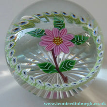 Load image into Gallery viewer,  1986 LIMITED EDITION Caithness Glass Paperweight: Signed "Camelia" by William Manson
