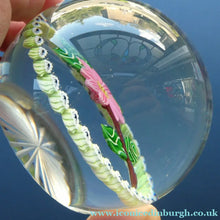 Load image into Gallery viewer,  1986 LIMITED EDITION Caithness Glass Paperweight: Signed "Camelia" by William Manson
