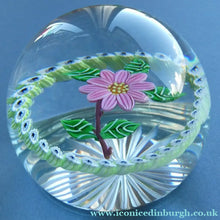 Load image into Gallery viewer,  1986 LIMITED EDITION Caithness Glass Paperweight: Signed "Camelia" by William Manson
