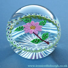 Load image into Gallery viewer,  1986 LIMITED EDITION Caithness Glass Paperweight: Signed "Camelia" by William Manson
