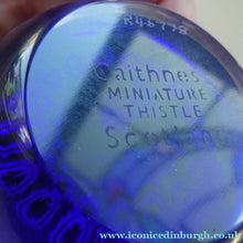 Load image into Gallery viewer, 1987 Vintage CAITHNESS GLASS Miniature Faceted Paperweight with Thistle
