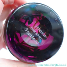 Load image into Gallery viewer, Vintage Limited Edition 1988 Caithness Paperweight NATURE STUDY by William Manson
