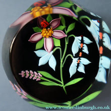 Load image into Gallery viewer, Vintage Limited Edition 1988 Caithness Paperweight NATURE STUDY by William Manson
