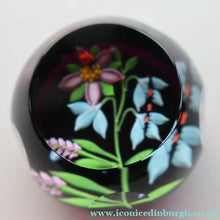 Load image into Gallery viewer, Vintage Limited Edition 1988 Caithness Paperweight NATURE STUDY by William Manson
